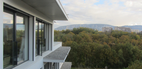 Fin de chantier les terrasses d'Aïre